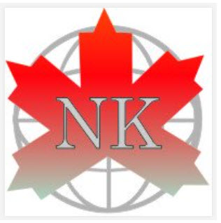 NK International Consultants logo